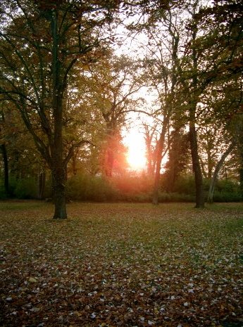 Park