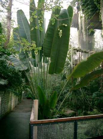 Biosphäre